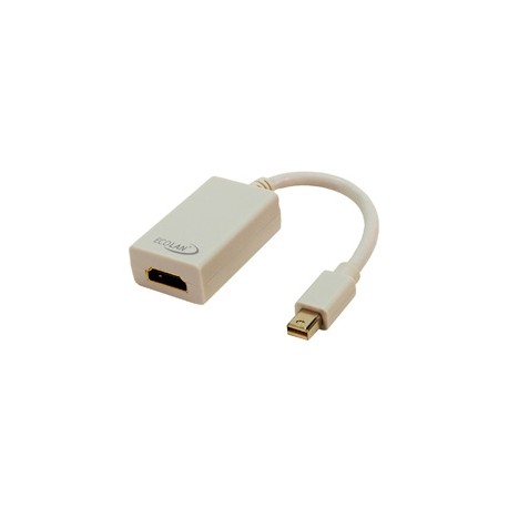 CONVERTIDOR MINI DISPLAY PORT MACHO A