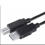 CABLE USB 2.0 A MACHO B