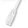 LATIGUILLO RJ45 UTP CAT 5e 10M