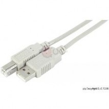 CABLE USB 2.0 A MACHO B