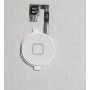 REPUESTO BOTON HOME + FLEX APPLE
