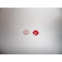 REPUESTO BOTON HOME APPLE IPHONE 4G