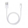 CABLE ADAPTADOR APPLE LIGHTNING A USB