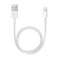 CABLE ADAPTADOR APPLE LIGHTNING A USB