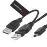 CABLE PHOENIX 2 CONECTORES USB 2.0