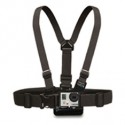 ACCESORIO ARNES SOPORTE EL PECHO PHOENIX
