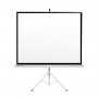 PANTALLA MANUAL TRIPODE VIDEOPROYECTOR PHOENIX 80"