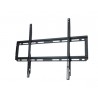 SOPORTE PLANO FIJO PARED PHOENIX PANTALLA