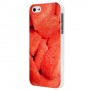 Carcasa Bumper Blanco Colección Sweet Strawerry Iphone 5 Moxie