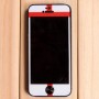 Film protector para iPhone 5 / 5s bandera Inglaterra
