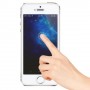 Protector pantalla cristal templado iPhone 5c 5s