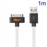 Cable cargador USB con conector iPhone 4 / 4s / iPad 2 / iPod touch 4 / iPod nano 6 blanco