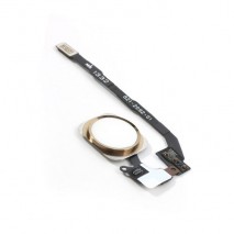 Boton Home Completo para iPhone 5S Original color dorado