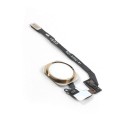 Boton Home Completo para iPhone 5S Original color dorado