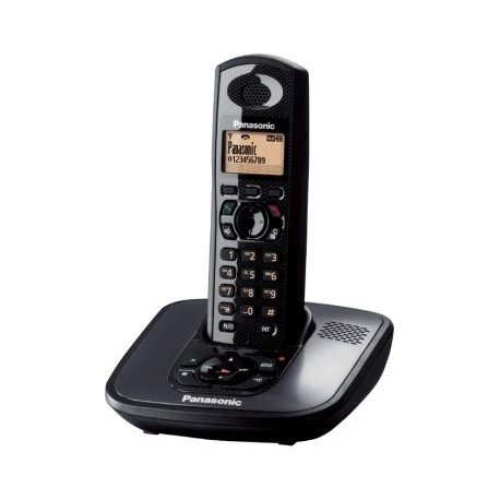 Dect Panasonic IP54 con contestador TG 6481