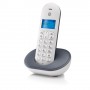 Telefono inalambrico DECT Motorola T101 Gris
