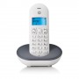 Telefono inalambrico DECT Motorola T101 Gris