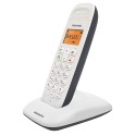 Telefono DECT Daewoo DTD 1300 Gris