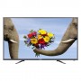 TV LED 32" Haier LE32B8000T HD Ready USB