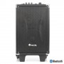 Altavoz inalambrico bluetooth NGS Wild Party