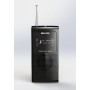 Radio Philips AE1500