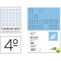 RECAMBIO LIDERPAPEL CUARTO APAISADO 100 H 2TCA-01 CUADRO 4 MM 2 TALADROS CON MARGEN