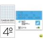 RECAMBIO LIDERPAPEL CUARTO APAISADO 100 H 2TCA-06 CUADRO 3 MM 2 TALADROS CON MARGEN