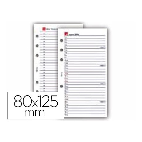 RECAMBIO AGENDA ANILLAS MIQUELRIUS 80X125MM INTEGRAL CADDY ANUALIDAD DIA PAGINA