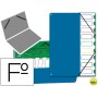 CARPETA CLASIFICADOR TAPA DE PLASTICO PARDO FOLIO -9 DEPARTAMENTOS AZUL