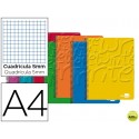BLOC ESPIRAL LIDERPAPEL A4 MICRO WRITE TAPA CARTONCILLO 80H 60G CUADRO 5MM 4 TALADROS. COLORES SURTI