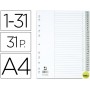 SEPARADOR NUMERICO Q-CONNECT PLASTICO 1-31 JUEGO DE 31 SEPARADORES DIN A4 -MULTITALADRO