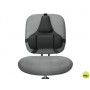 RESPALDO ERGONOMICO PROFESIONAL FELLOWES