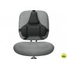 RESPALDO ERGONOMICO PROFESIONAL FELLOWES