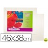 CARTON ENTELADO LIDERCOLOR 8F 100% FABRICADO EN ALGODON GROSOR 0,3 CM 46X38 CM