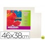 CARTON ENTELADO LIDERCOLOR 8F 100% FABRICADO EN ALGODON GROSOR 0,3 CM 46X38 CM