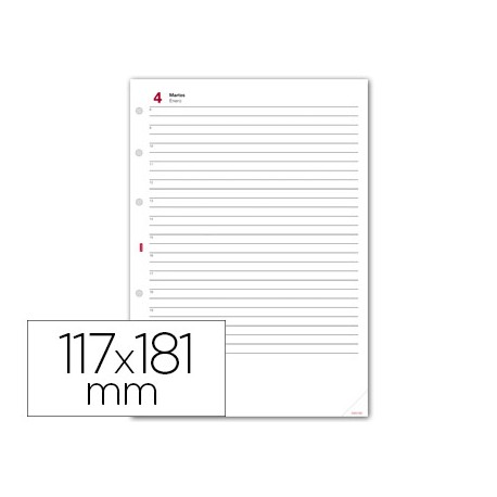 RECAMBIO AGENDA FINOCAM 500 ANUALIDAD DIA PAGINA 117X181 MM