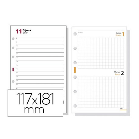 RECAMBIO AGENDA FINOCAM 500 ANUALIDAD SEMANA A LA VISTA 117X181 MM TEXTO EN CATALAN
