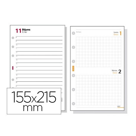 RECAMBIO AGENDA FINOCAM 1000 ANUALIDAD DIA PAGINA 155X215 MM TEXTO EN CATALAN