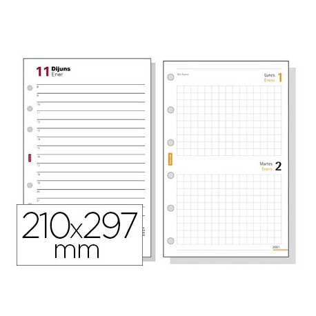 RECAMBIO AGENDA FINOCAM 4000 ANUALIDAD DIA PAGINA 210X297 MM TEXTO EN CATALAN