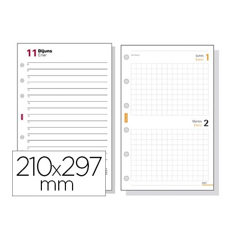 RECAMBIO AGENDA FINOCAM 4000 ANUALIDAD SEMANA A LA VISTA 210X297 MM TEXTO EN CATALAN
