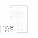 RECAMBIO AGENDA FINOCAM 500 CUADRICULA 117X181MM