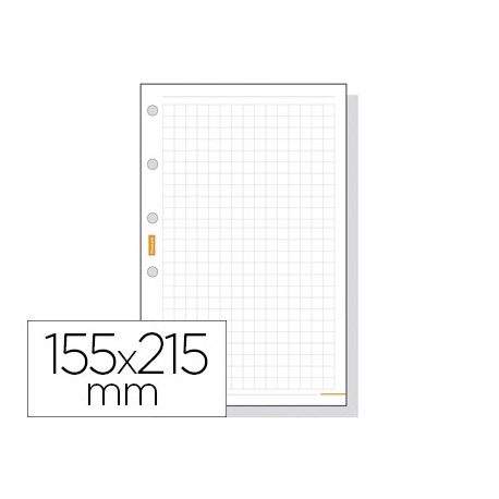 RECAMBIO AGENDA FINOCAM 1000 CUADRICULA 155X215 MM