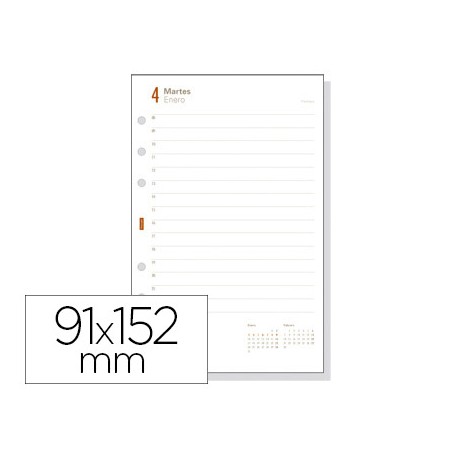 RECAMBIO AGENDA FINOCAM 400 ANUALIDAD DIA PAGINA 91X152 MM