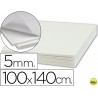 CARTON PLUMA LIDERPAPEL ADHESIVO 1 CARA 100X140 CM ESPESOR 5 MM