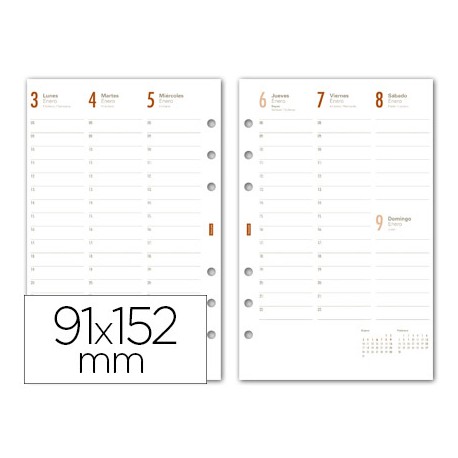 RECAMBIO AGENDA FINOCAM C499-SEMANA A LA VISTA 91X152MM