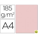 CARTULINA GUARRO DIN-A4 ROSA 185 GR