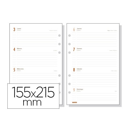 RECAMBIO AGENDA FINOCAM OPEN 1000 ANUALIDAD SEMANA VISTA APAISADA 155X215 MM CATALAN
