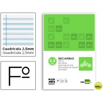 RECAMBIO LIDERPAPEL FOLIO 100 H 4 TALADROS 70 GR CUADRICULADO PAUTADO 2,5 MM CON MARGEN