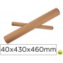 TUBO DE CARTON PORTADOCUMENTO TAPA PLASTICO 40X430X460 MM