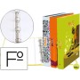 CARPETA LIDERPAPEL 4 ANILLAS 25 MM REDONDAS CARTON FORRADO FOLIO FANTASIA TEEN MONSTERS